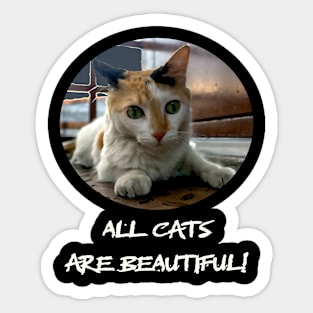 cat is cute Sticker